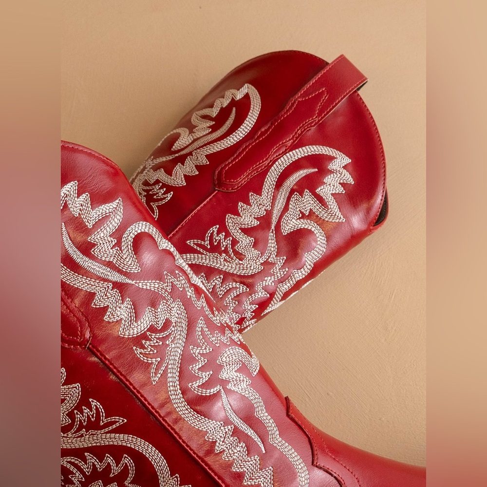 Contrast Embroidered Leather Western Boots - Oasis Society - Picture 4 of 5